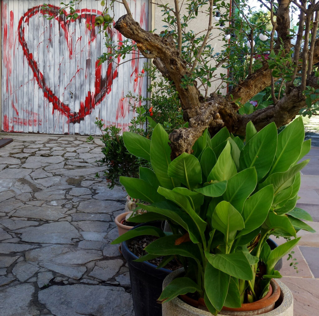 Garage mit Herz und Pflanzen